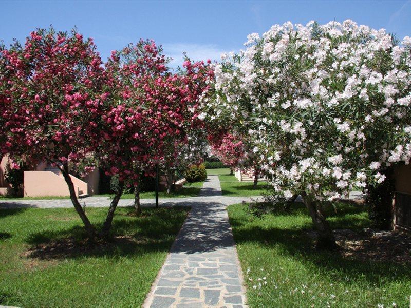 Hotel Villaggio Sirio Catanzaro Exterior foto